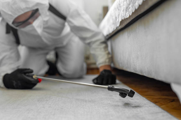 Professional Cockroach Control technician working in Seneca, IL