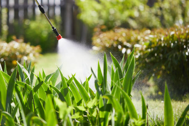 24/7 Emergency Cockroach Control experts in Seneca, IL